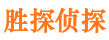 丽水找人公司